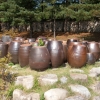 gangneung13