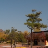 gangneung15