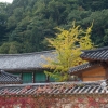seorksan11