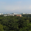 P8130928