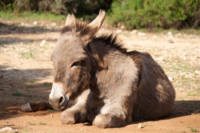 sardinien_53.jpg