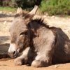 sardinien_53.jpg
