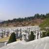 Danyang_03.jpg